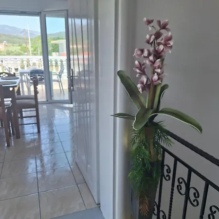 Appartement Amaze House *