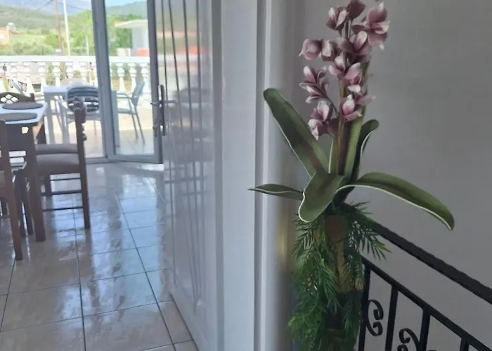 Apartamento Amaze House *